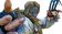 Vega
